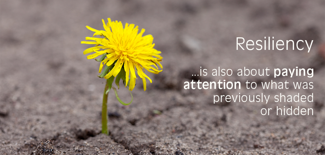 resiliency image of a flower emerging through desert soil